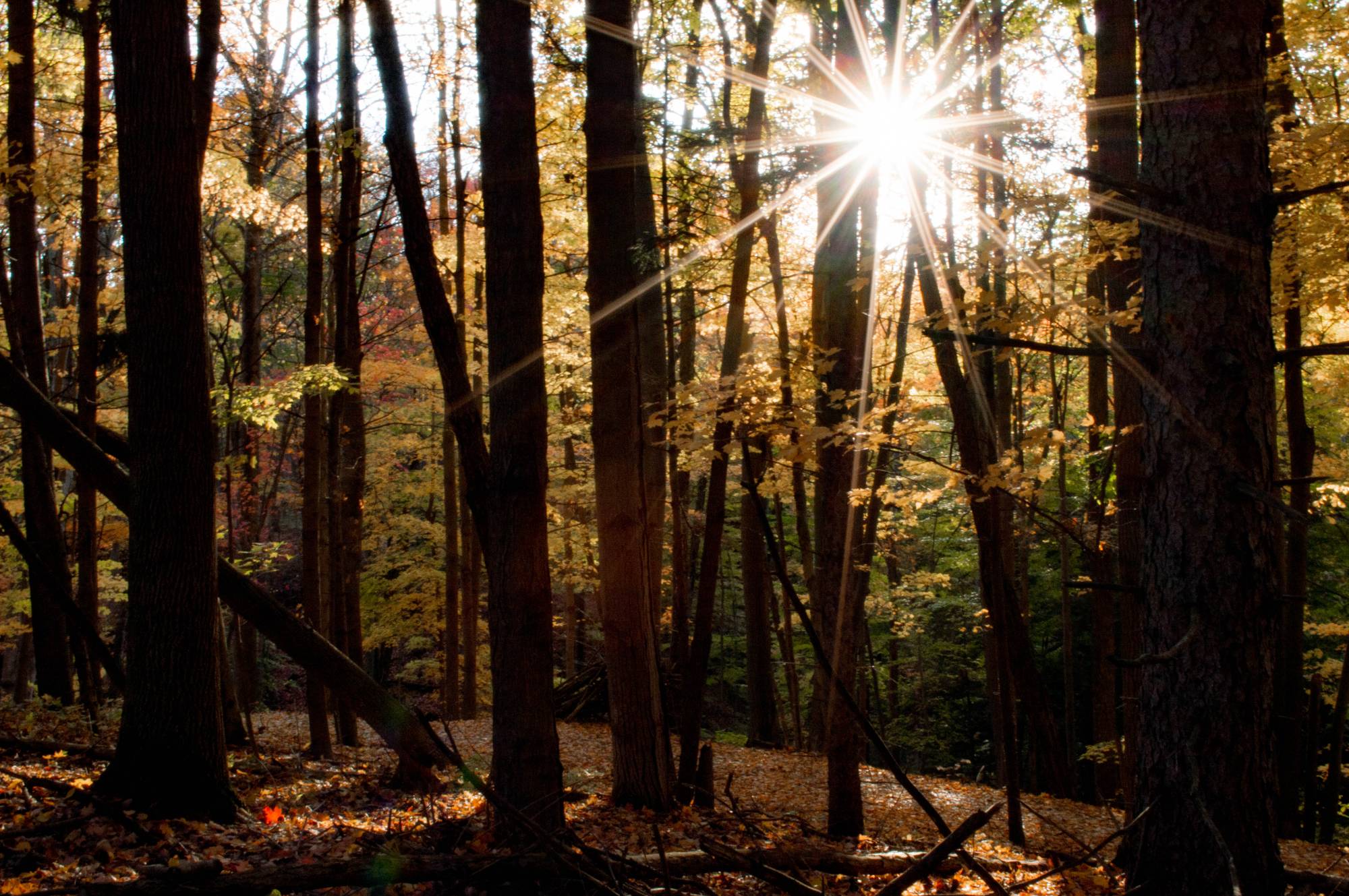 sunshine on hike/walk